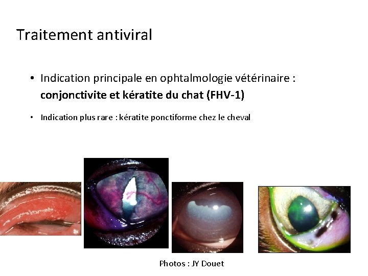 Traitement antiviral • Indication principale en ophtalmologie vétérinaire : conjonctivite et kératite du chat