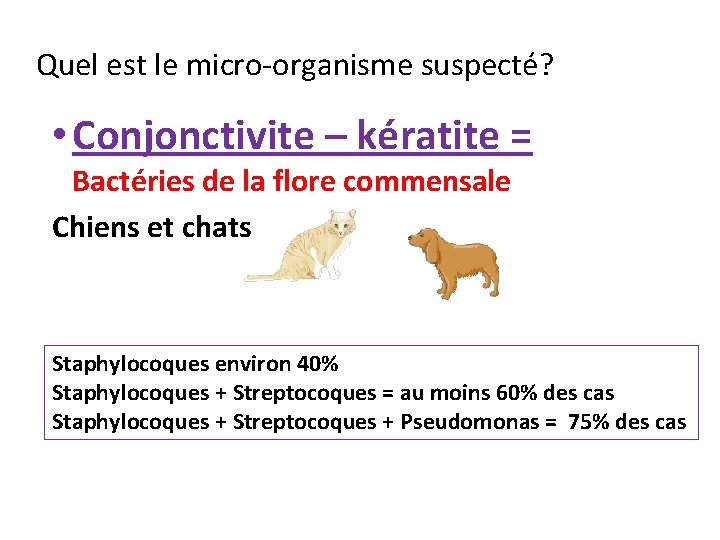 Quel est le micro-organisme suspecté? • Conjonctivite – kératite = Bactéries de la flore