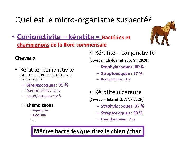 Quel est le micro-organisme suspecté? • Conjonctivite – kératite = Bactéries et champignons de