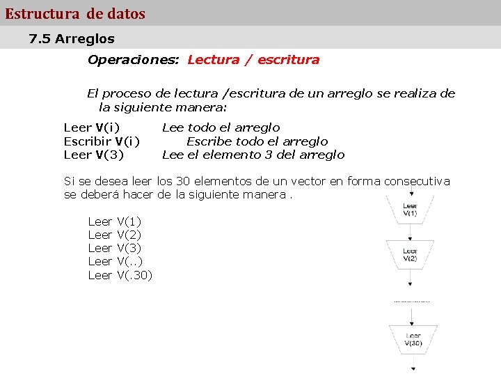 Estructura de datos 7. 5 Arreglos Operaciones: Lectura / escritura El proceso de lectura