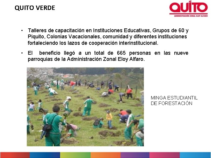 QUITO VERDE • Talleres de capacitación en Instituciones Educativas, Grupos de 60 y Piquito,