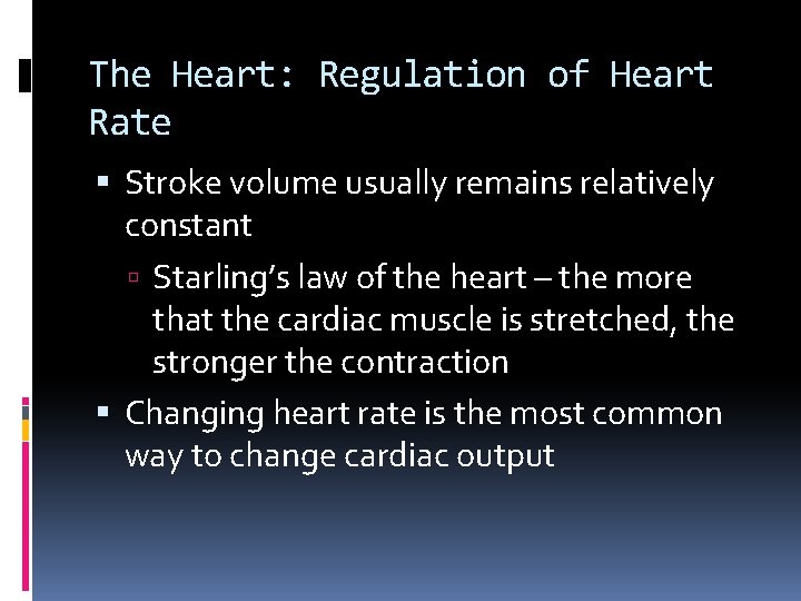 The Heart: Regulation of Heart Rate Stroke volume usually remains relatively constant Starling’s law