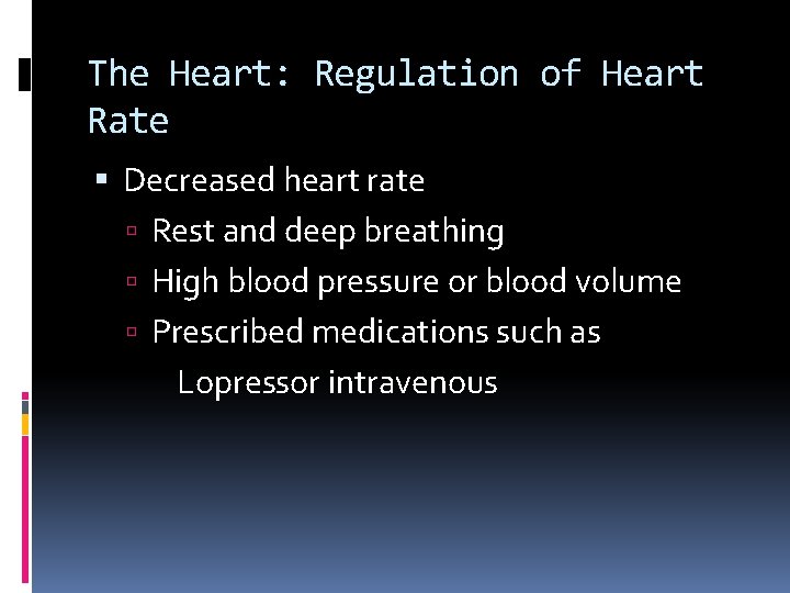 The Heart: Regulation of Heart Rate Decreased heart rate Rest and deep breathing High