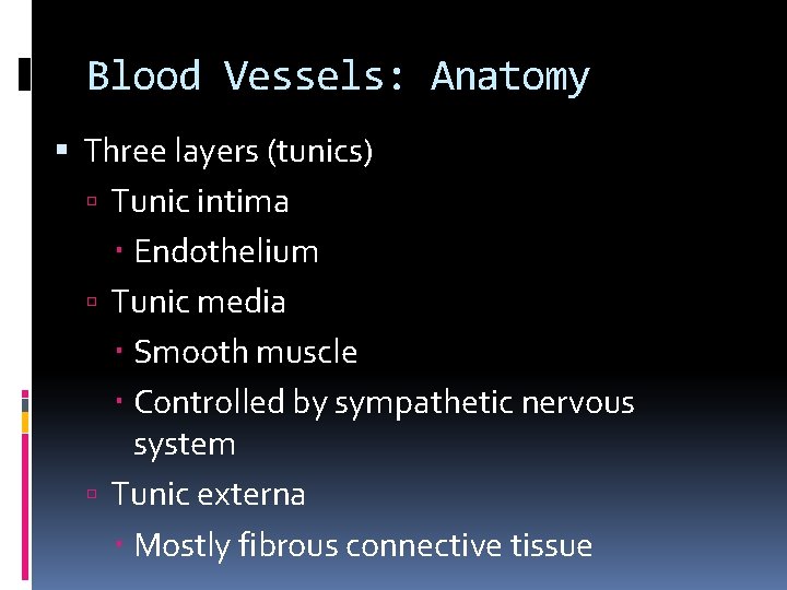 Blood Vessels: Anatomy Three layers (tunics) Tunic intima Endothelium Tunic media Smooth muscle Controlled