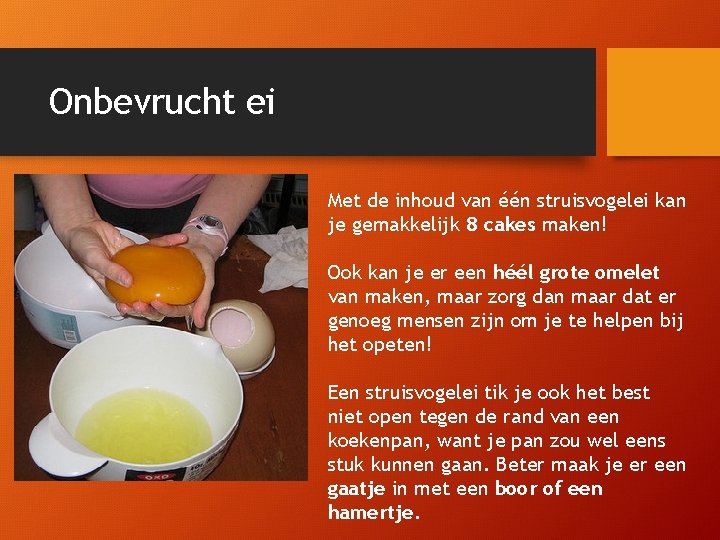 Onbevrucht ei Met de inhoud van één struisvogelei kan je gemakkelijk 8 cakes maken!