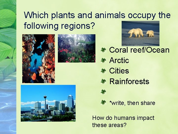 Which plants and animals occupy the following regions? Coral reef/Ocean Arctic Cities Rainforests *write,
