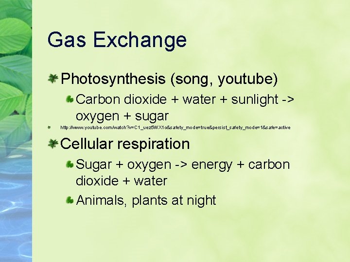 Gas Exchange Photosynthesis (song, youtube) Carbon dioxide + water + sunlight -> oxygen +