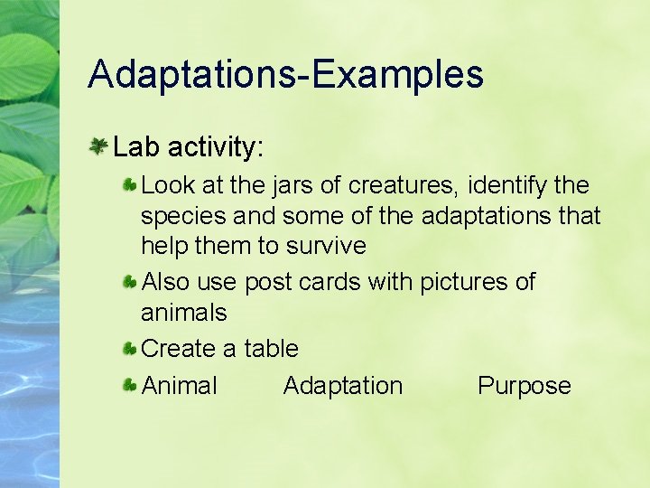 Adaptations-Examples Lab activity: Look at the jars of creatures, identify the species and some