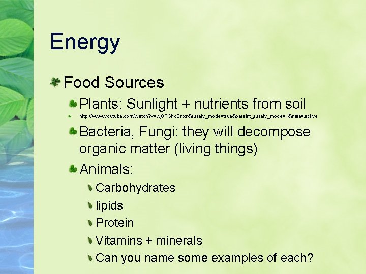 Energy Food Sources Plants: Sunlight + nutrients from soil http: //www. youtube. com/watch? v=wj