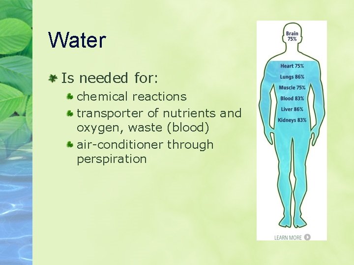 Water Is needed for: chemical reactions transporter of nutrients and oxygen, waste (blood) air-conditioner