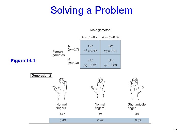 Solving a Problem Figure 14. 4 12 