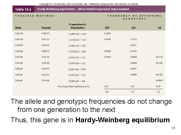 The allele and genotypic frequencies do not change from one generation to the next