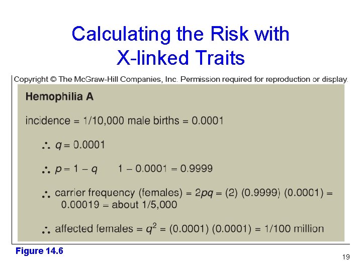 Calculating the Risk with X-linked Traits Figure 14. 6 19 