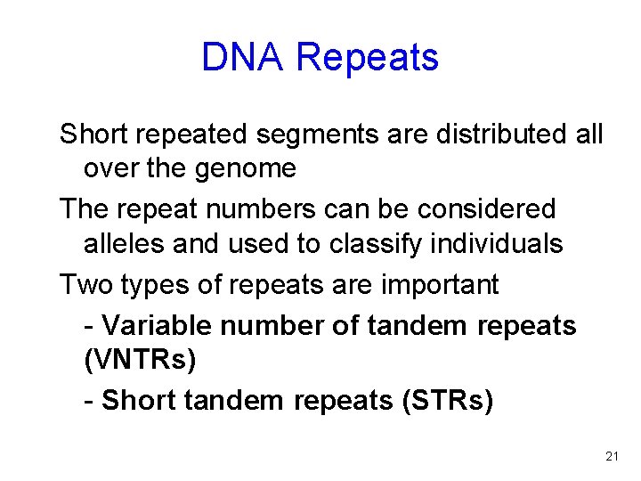 DNA Repeats Short repeated segments are distributed all over the genome The repeat numbers