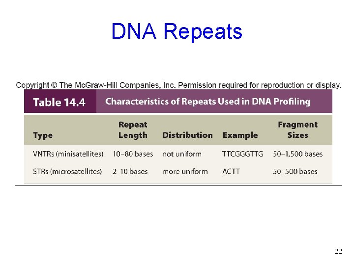 DNA Repeats 22 