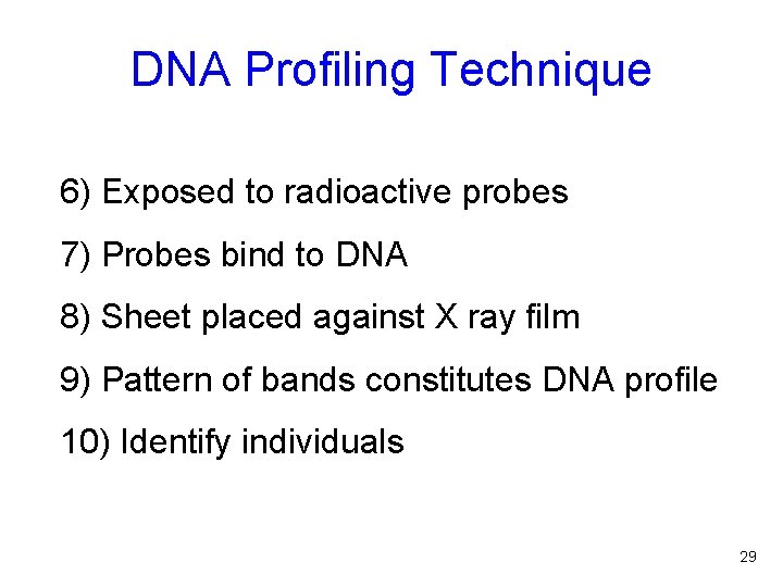 DNA Profiling Technique 6) Exposed to radioactive probes 7) Probes bind to DNA 8)