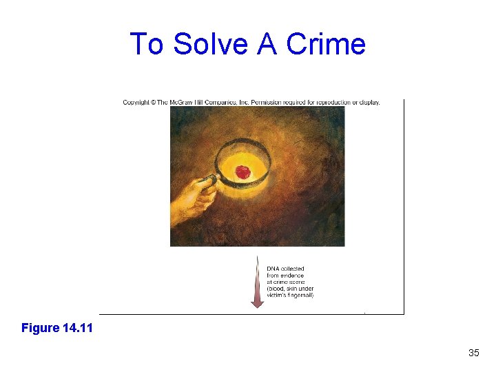To Solve A Crime Table 14. 6 Figure 14. 11 35 
