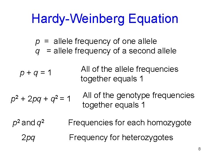 Hardy-Weinberg Equation p = allele frequency of one allele q = allele frequency of