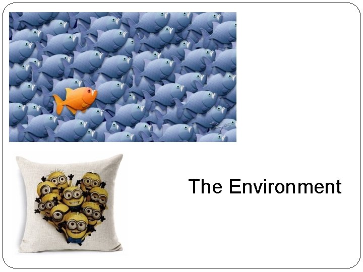 The Environment 