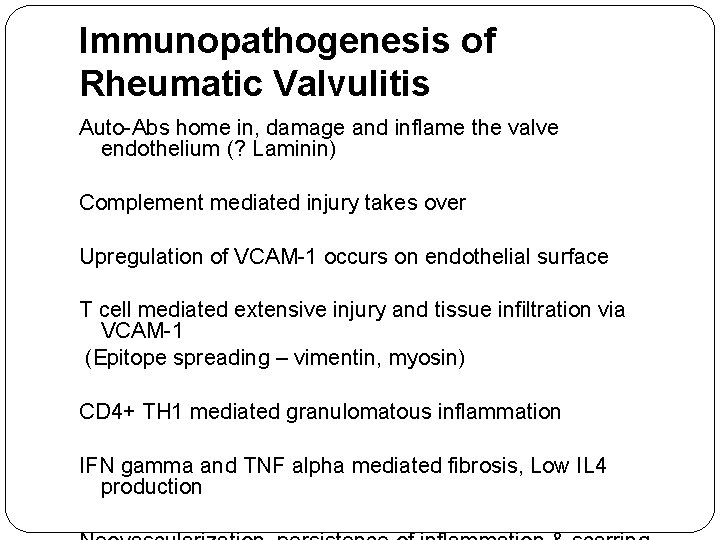 Immunopathogenesis of Rheumatic Valvulitis Auto-Abs home in, damage and inflame the valve endothelium (?