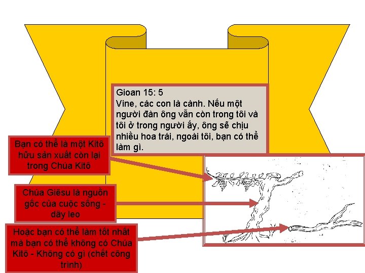 Bạn có thể là một Kitô hữu sản xuất còn lại trong Chúa Kitô