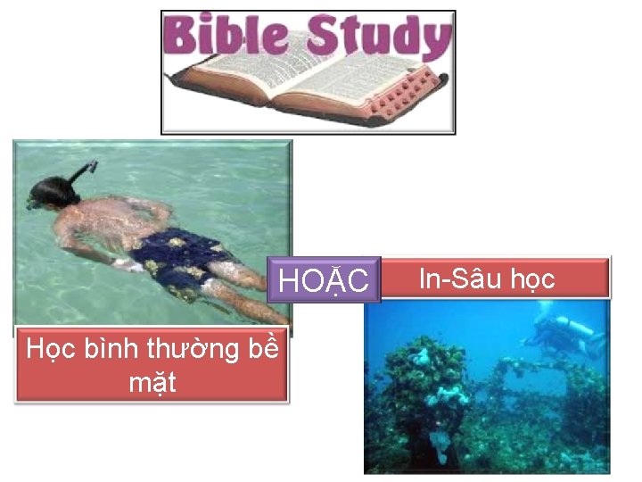 HOẶC Học bình thường bề mặt In-Sâu học 