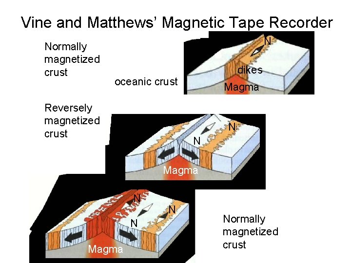 Vine and Matthews’ Magnetic Tape Recorder Normally magnetized crust N dikes oceanic crust Reversely