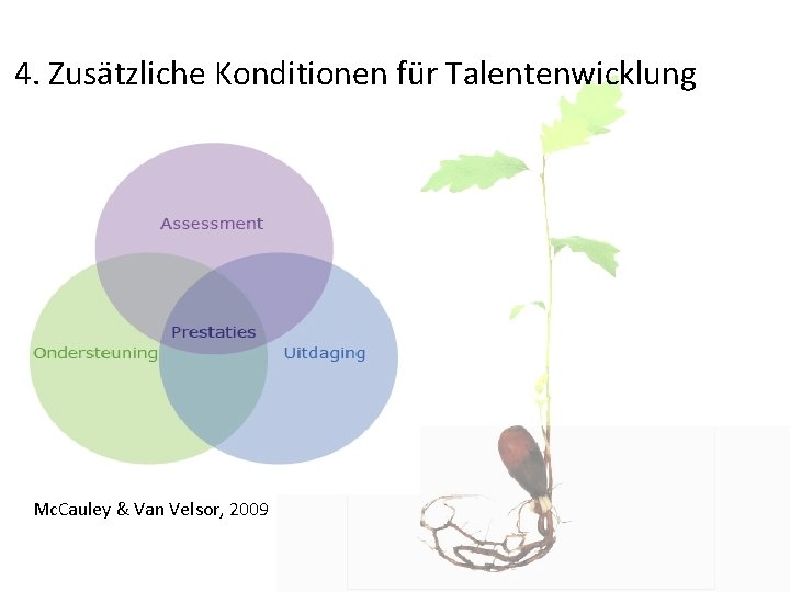 4. Zusätzliche Konditionen für Talentenwicklung Mc. Cauley & Van Velsor, 2009 