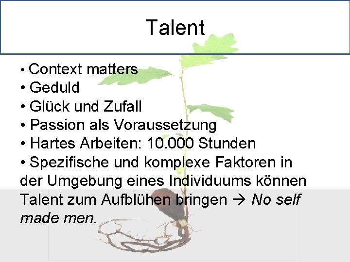 Talent • Context matters • Geduld • Glück und Zufall • Passion als Voraussetzung