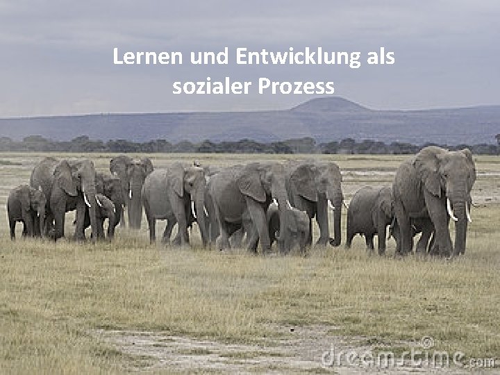 Lernen und Entwicklung als sozialer Prozess 