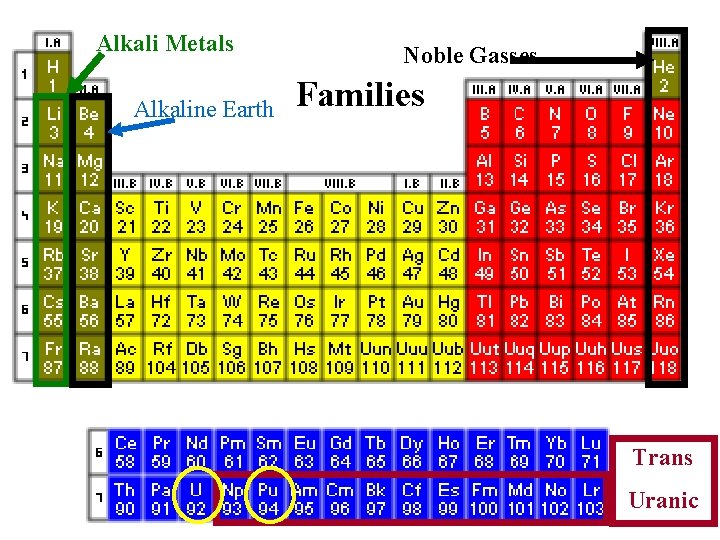 Alkali Metals Alkaline Earth Noble Gasses Families Trans Uranic 
