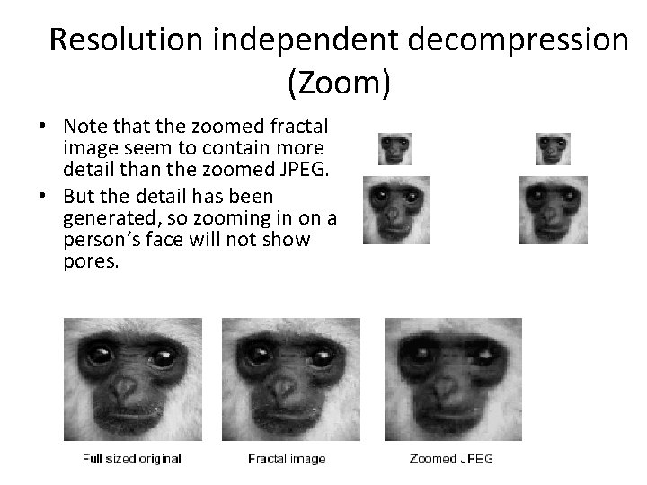 Resolution independent decompression (Zoom) • Note that the zoomed fractal image seem to contain