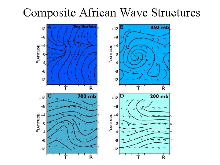 Composite African Wave Structures 