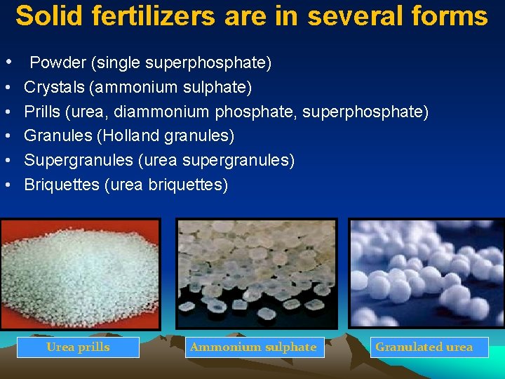 Solid fertilizers are in several forms • Powder (single superphosphate) • • • Crystals