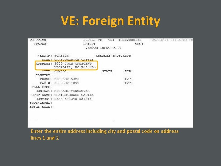 VE: Foreign Entity Enter the entire address including city and postal code on address