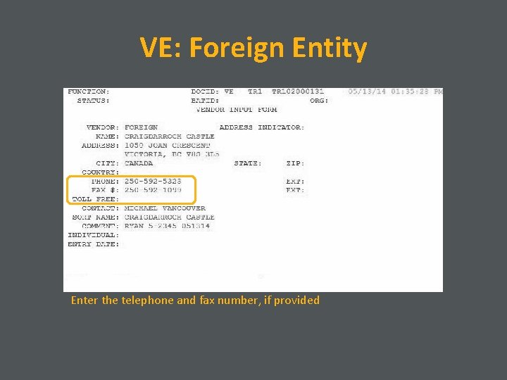 VE: Foreign Entity Enter the telephone and fax number, if provided 