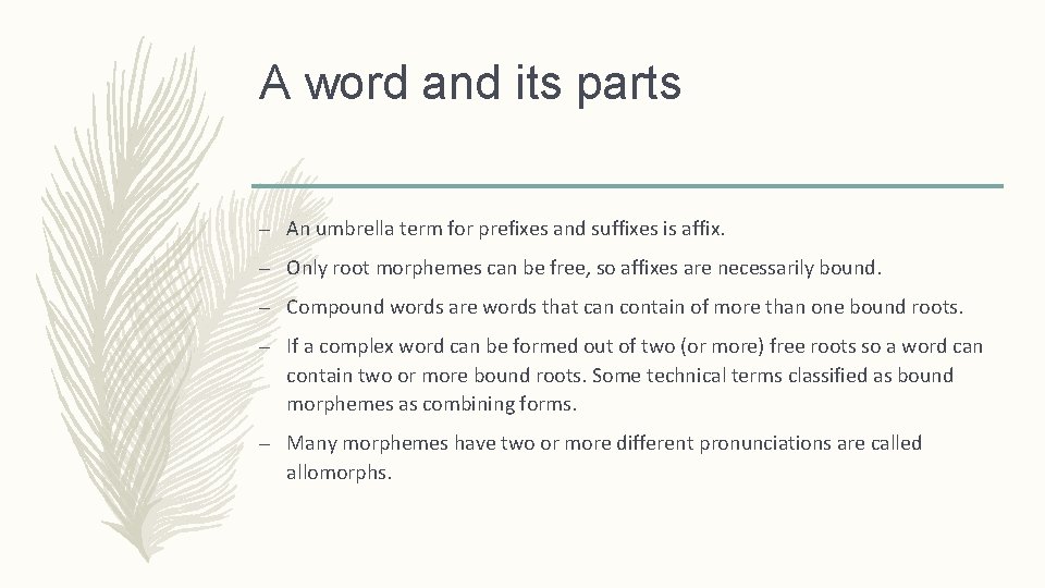 A word and its parts – An umbrella term for prefixes and suffixes is
