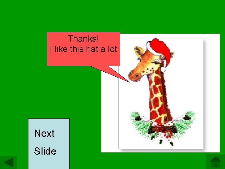 Thanks! I like this hat a lot Next Slide 