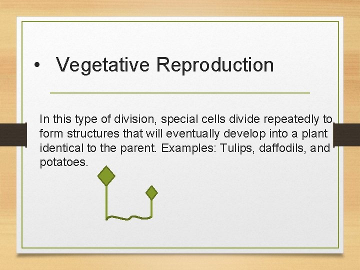  • Vegetative Reproduction In this type of division, special cells divide repeatedly to