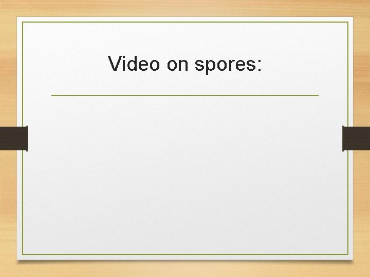 Video on spores: 