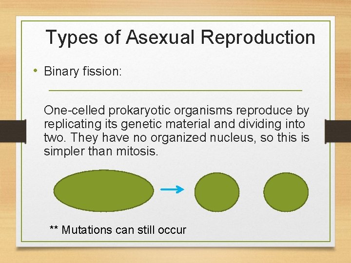 Types of Asexual Reproduction • Binary fission: One-celled prokaryotic organisms reproduce by replicating its