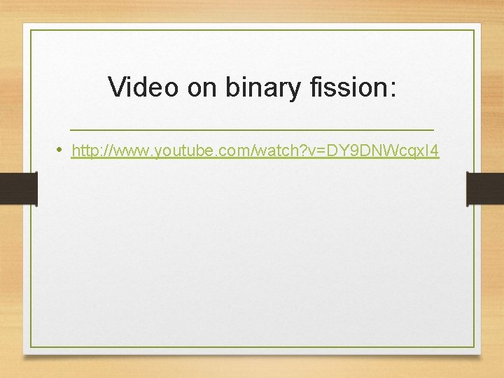 Video on binary fission: • http: //www. youtube. com/watch? v=DY 9 DNWcqx. I 4