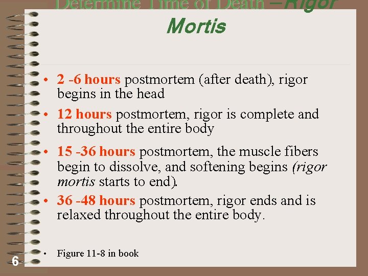 Determine Time of Death —Rigor Mortis • 2 -6 hours postmortem (after death), rigor
