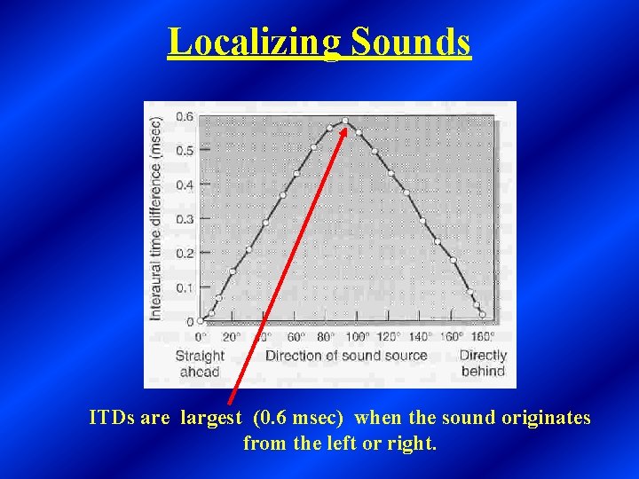 Localizing Sounds ITDs are largest (0. 6 msec) when the sound originates from the