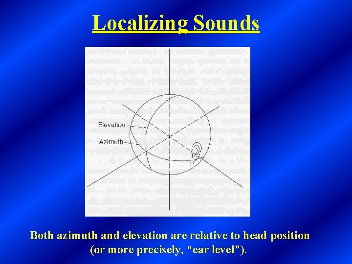 Localizing Sounds Both azimuth and elevation are relative to head position (or more precisely,