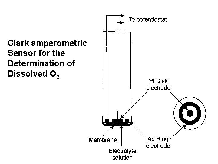 Clark amperometric Sensor for the Determination of Dissolved O 2 