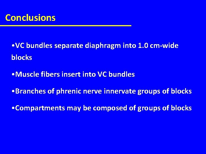 Conclusions • VC bundles separate diaphragm into 1. 0 cm-wide blocks • Muscle fibers