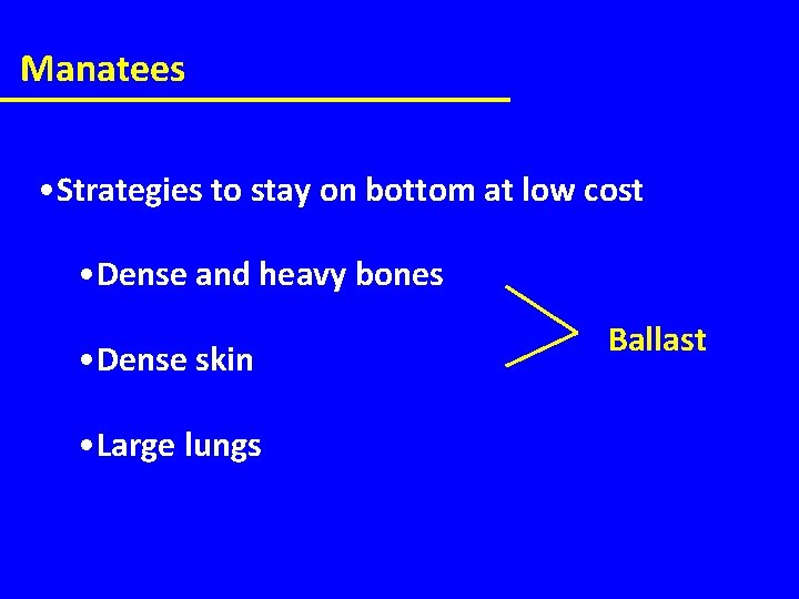 Manatees • Strategies to stay on bottom at low cost • Dense and heavy