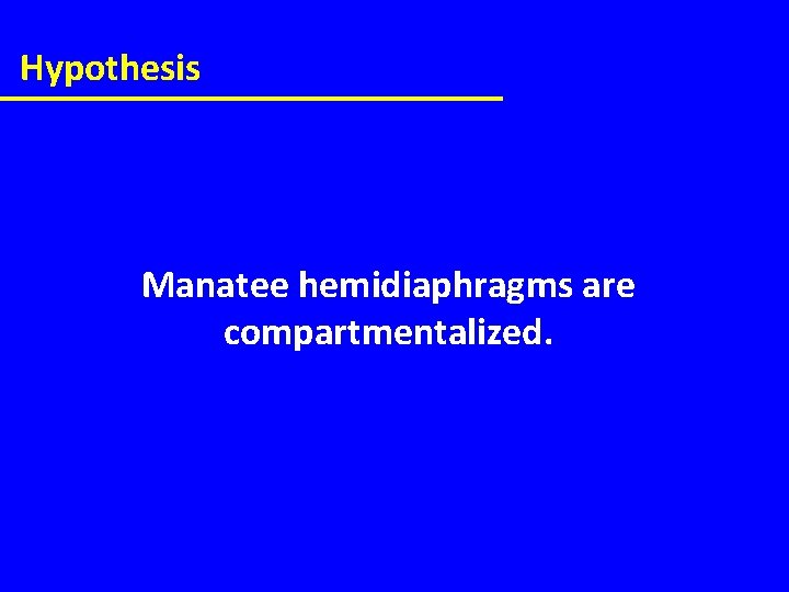 Hypothesis Manatee hemidiaphragms are compartmentalized. 