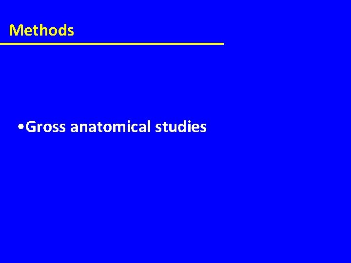 Methods • Gross anatomical studies 